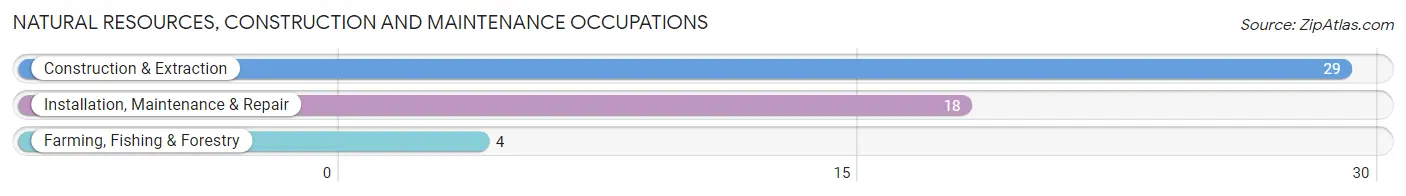 Natural Resources, Construction and Maintenance Occupations in Zip Code 56230