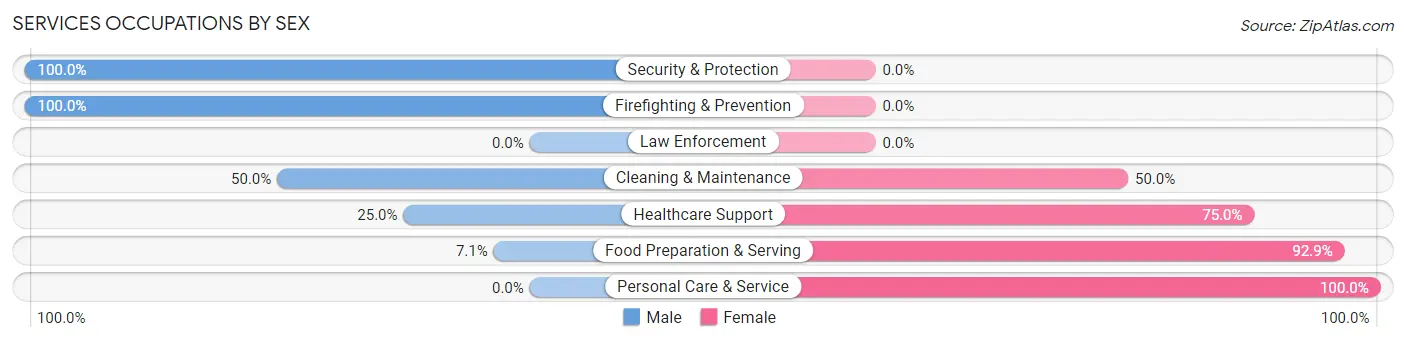 Services Occupations by Sex in Zip Code 56237