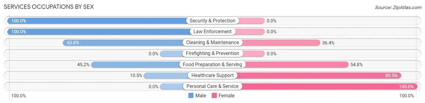 Services Occupations by Sex in Zip Code 56239