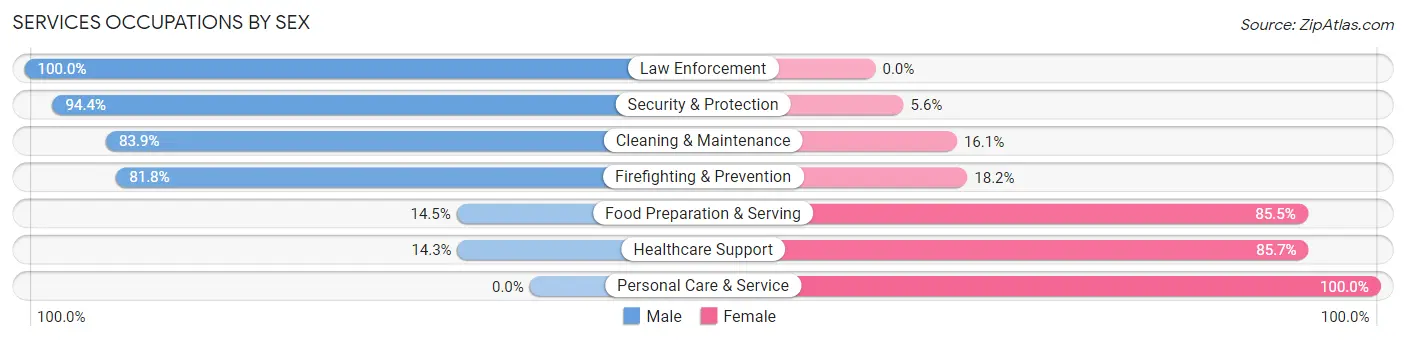 Services Occupations by Sex in Zip Code 56241