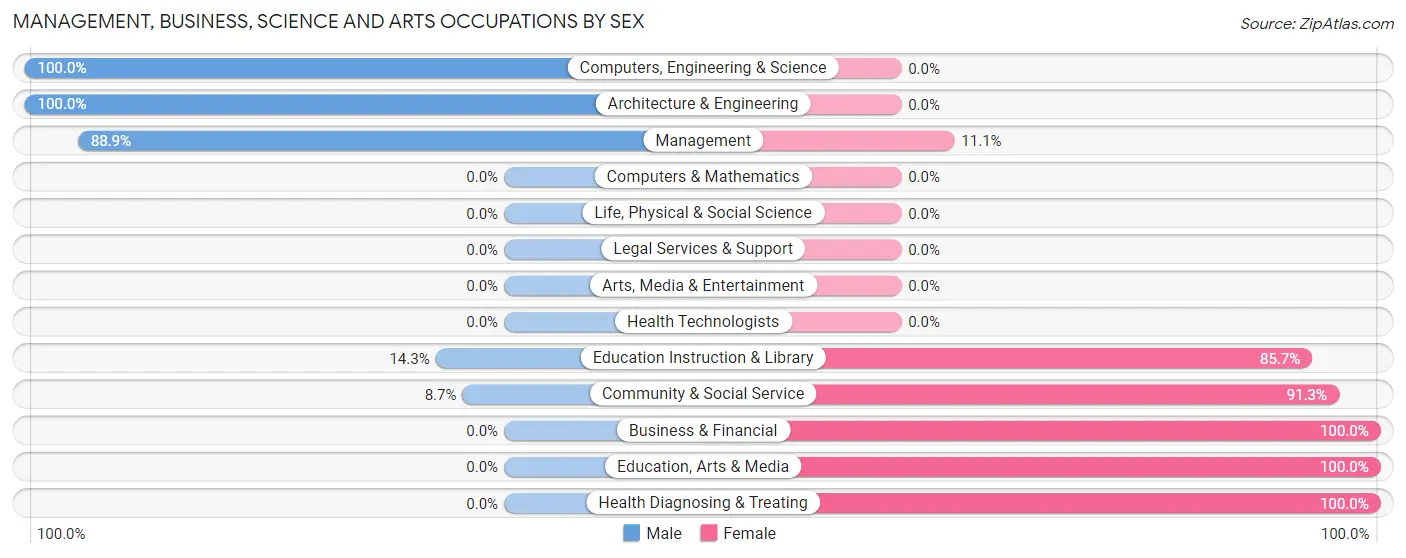 Management, Business, Science and Arts Occupations by Sex in Zip Code 56245
