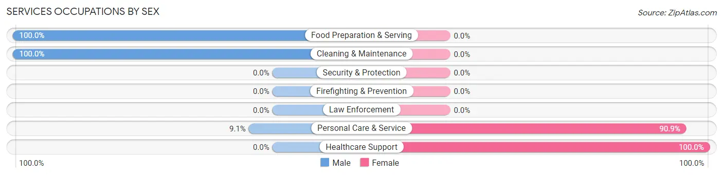 Services Occupations by Sex in Zip Code 56249