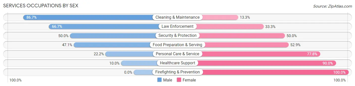 Services Occupations by Sex in Zip Code 56251