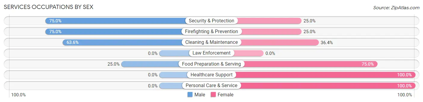 Services Occupations by Sex in Zip Code 56260