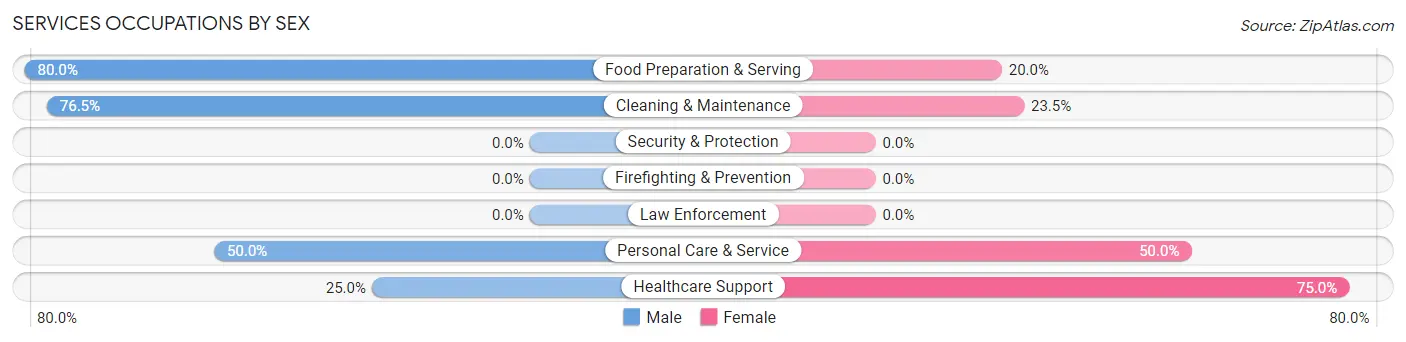 Services Occupations by Sex in Zip Code 56262