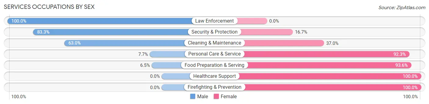 Services Occupations by Sex in Zip Code 56264