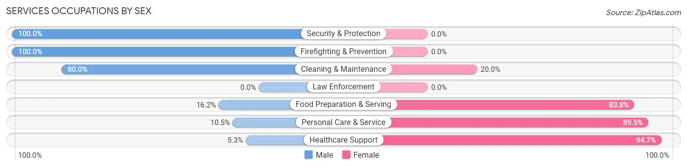 Services Occupations by Sex in Zip Code 56266