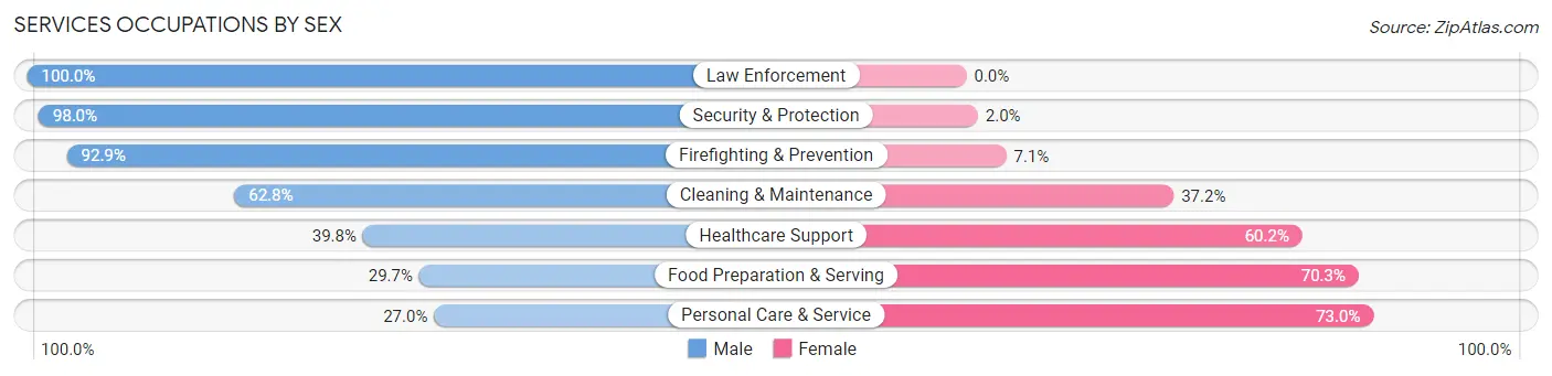 Services Occupations by Sex in Zip Code 56267