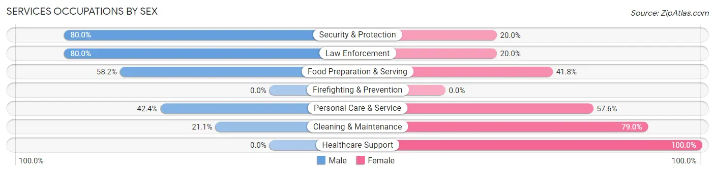 Services Occupations by Sex in Zip Code 56270