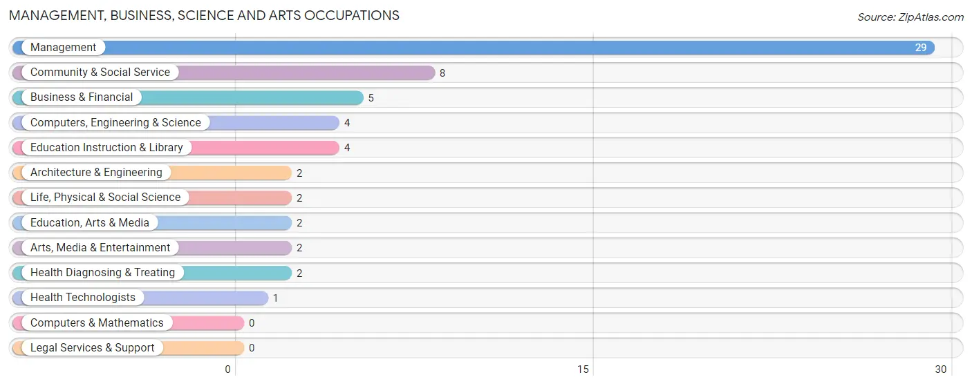 Management, Business, Science and Arts Occupations in Zip Code 56276