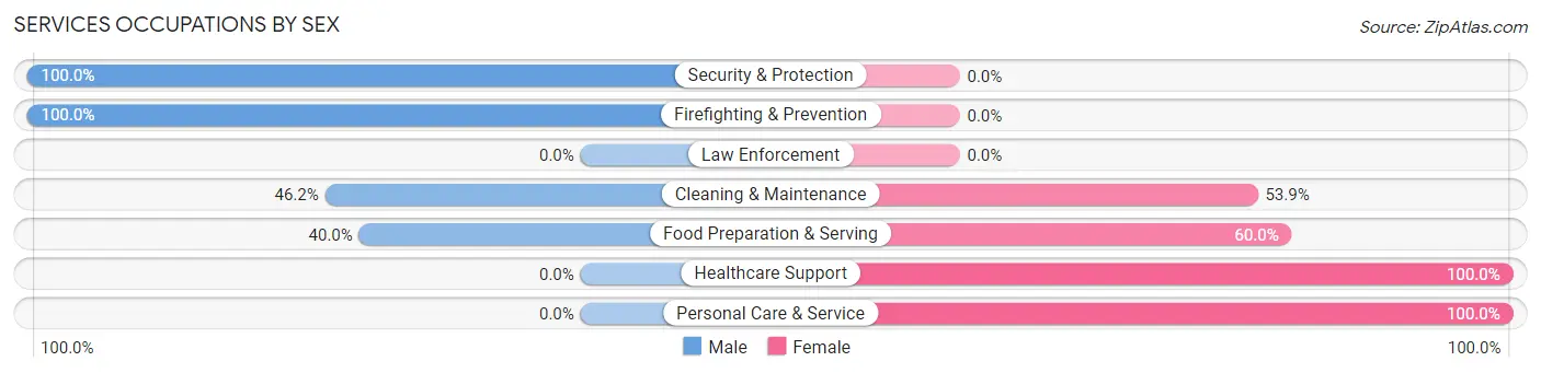 Services Occupations by Sex in Zip Code 56281