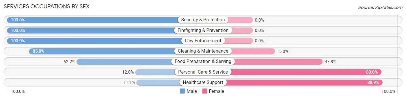 Services Occupations by Sex in Zip Code 56282