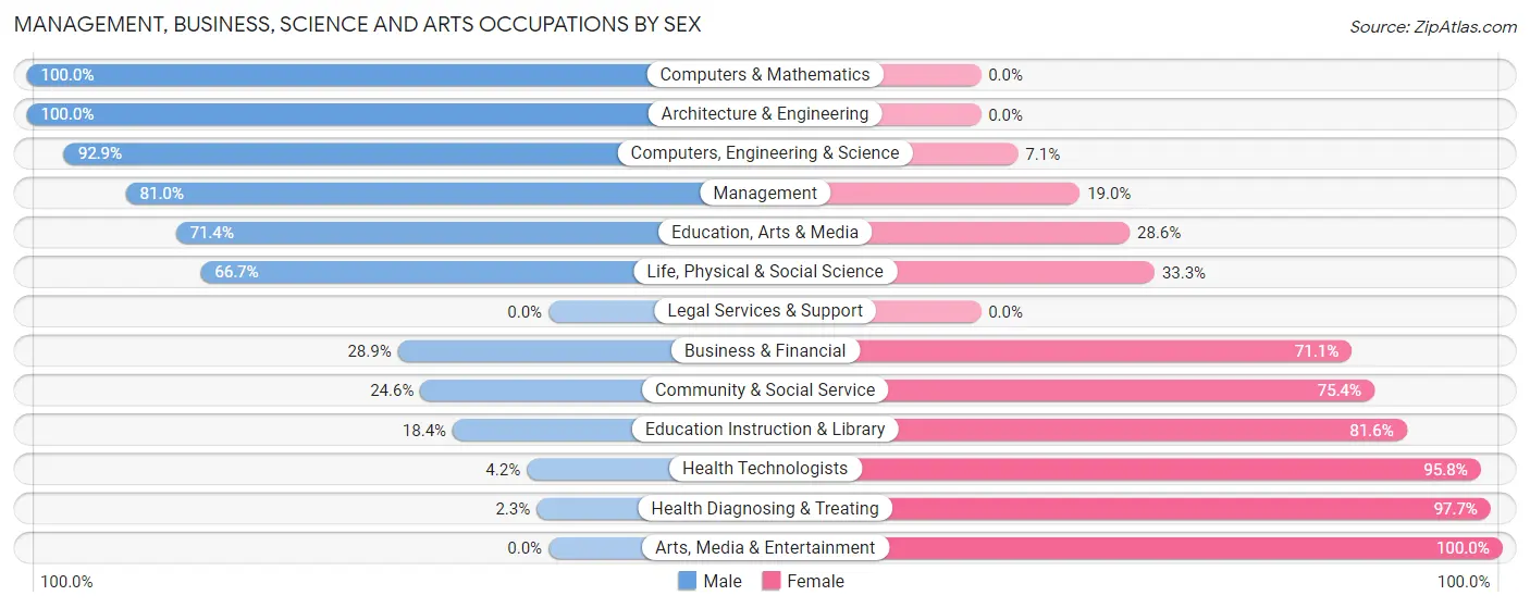 Management, Business, Science and Arts Occupations by Sex in Zip Code 56285