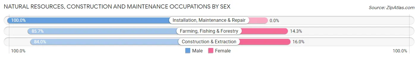 Natural Resources, Construction and Maintenance Occupations by Sex in Zip Code 56292