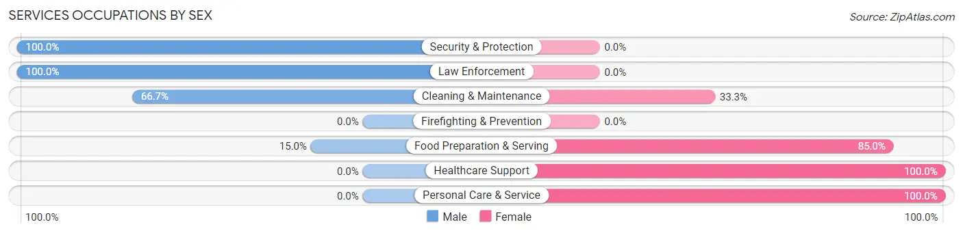 Services Occupations by Sex in Zip Code 56293