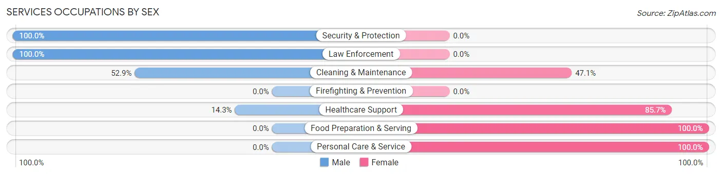 Services Occupations by Sex in Zip Code 56297