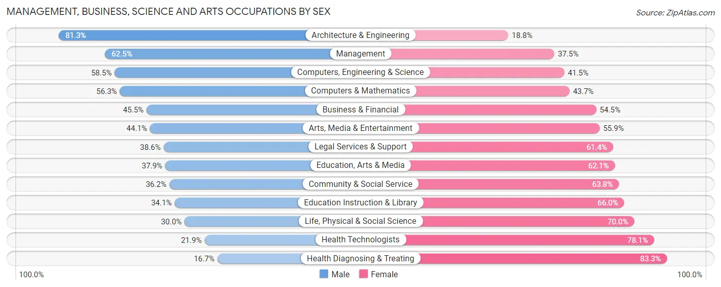 Management, Business, Science and Arts Occupations by Sex in Zip Code 56303
