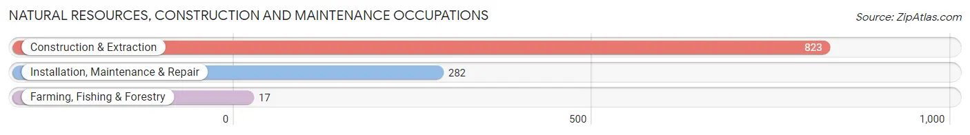 Natural Resources, Construction and Maintenance Occupations in Zip Code 56303