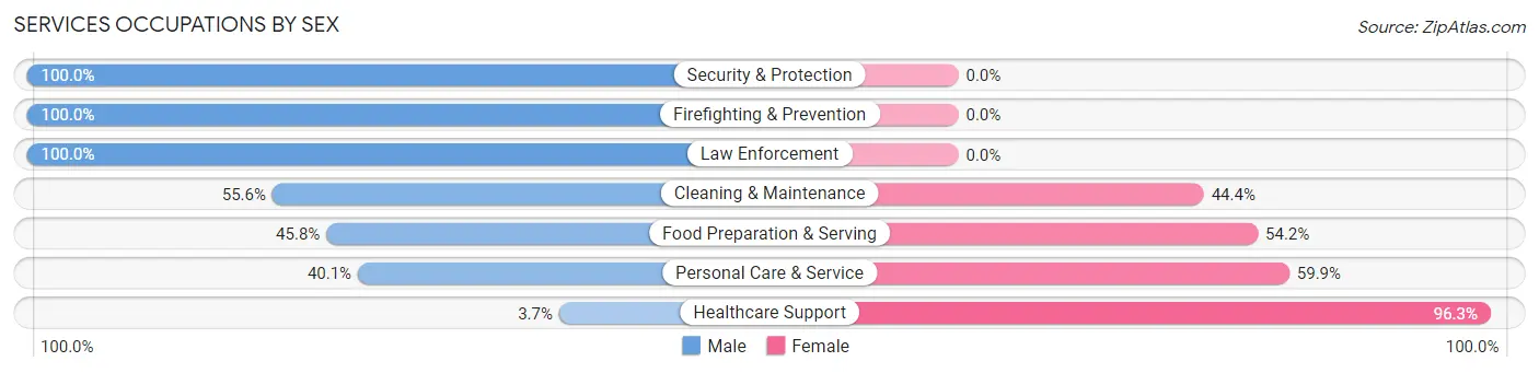 Services Occupations by Sex in Zip Code 56303