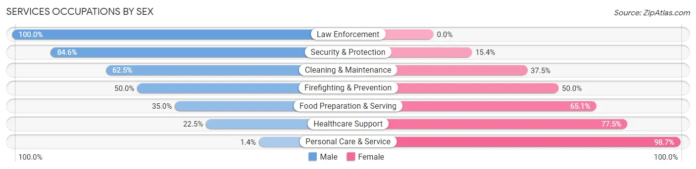 Services Occupations by Sex in Zip Code 56307