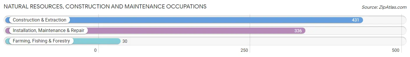 Natural Resources, Construction and Maintenance Occupations in Zip Code 56308