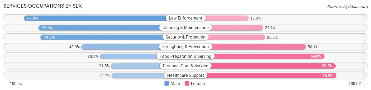 Services Occupations by Sex in Zip Code 56308