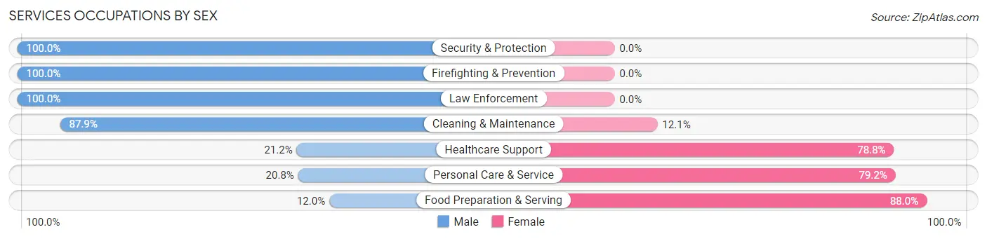 Services Occupations by Sex in Zip Code 56310