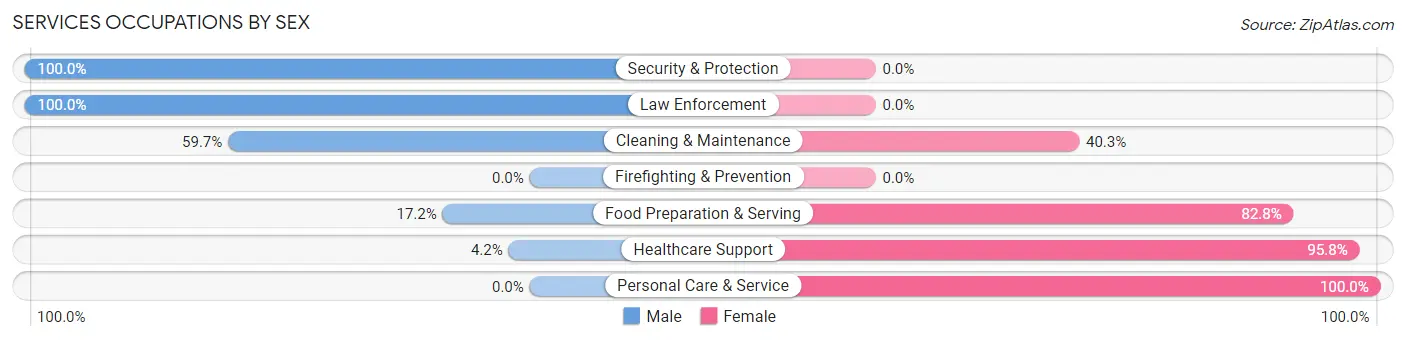 Services Occupations by Sex in Zip Code 56312