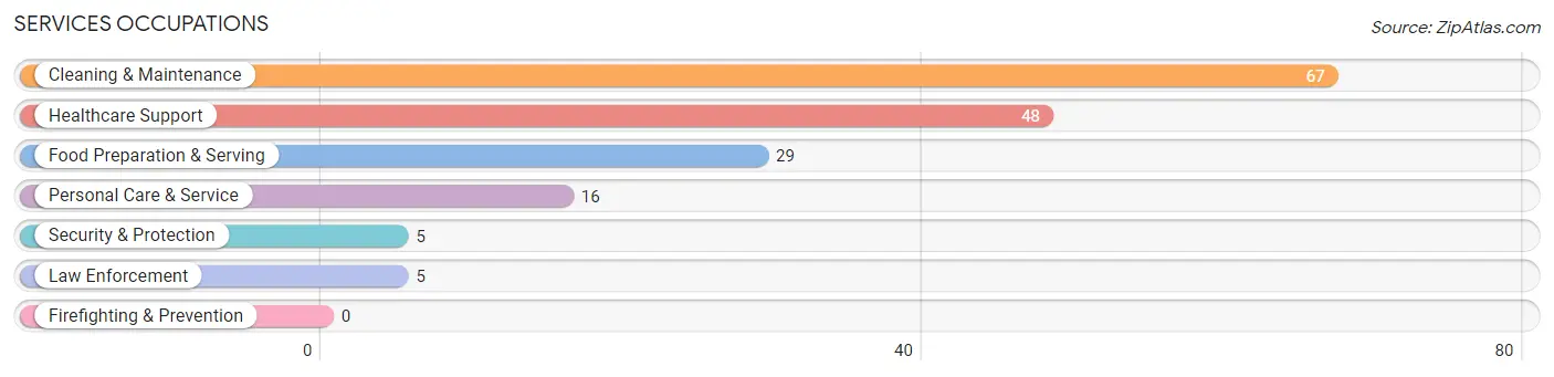 Services Occupations in Zip Code 56312