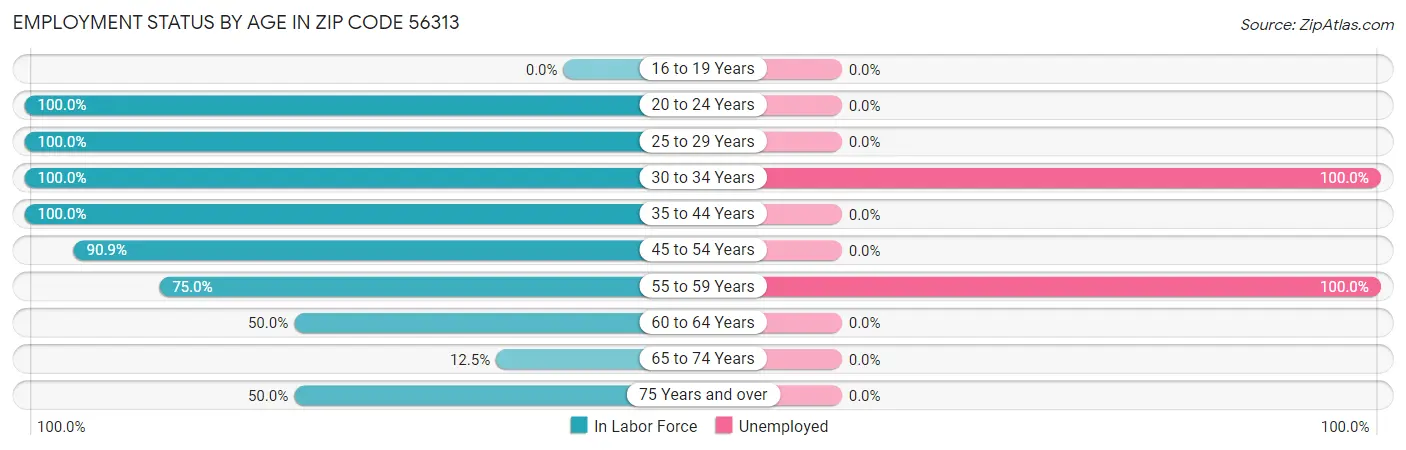 Employment Status by Age in Zip Code 56313