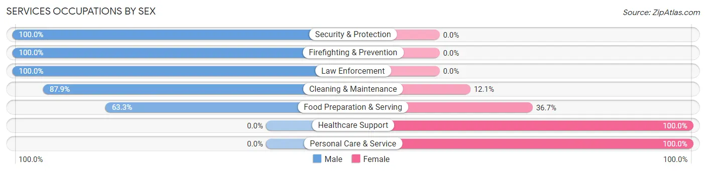 Services Occupations by Sex in Zip Code 56314