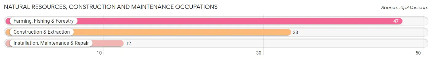 Natural Resources, Construction and Maintenance Occupations in Zip Code 56318