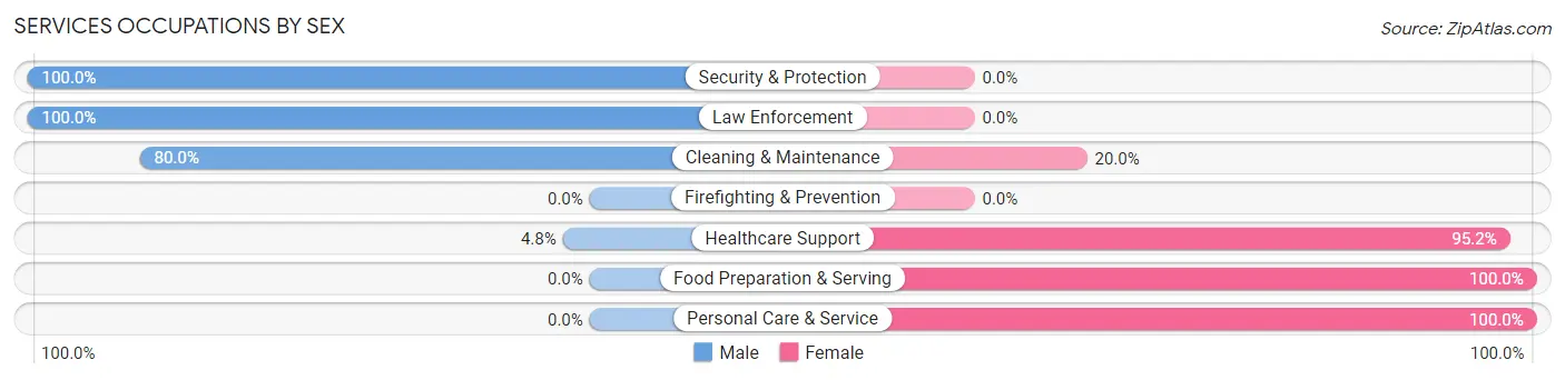 Services Occupations by Sex in Zip Code 56318