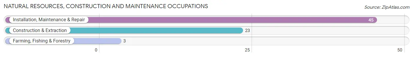 Natural Resources, Construction and Maintenance Occupations in Zip Code 56319