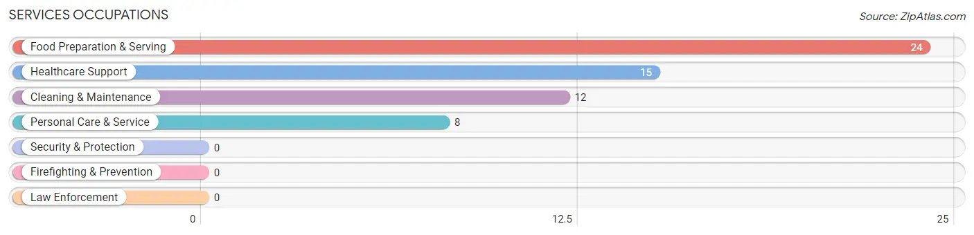 Services Occupations in Zip Code 56323