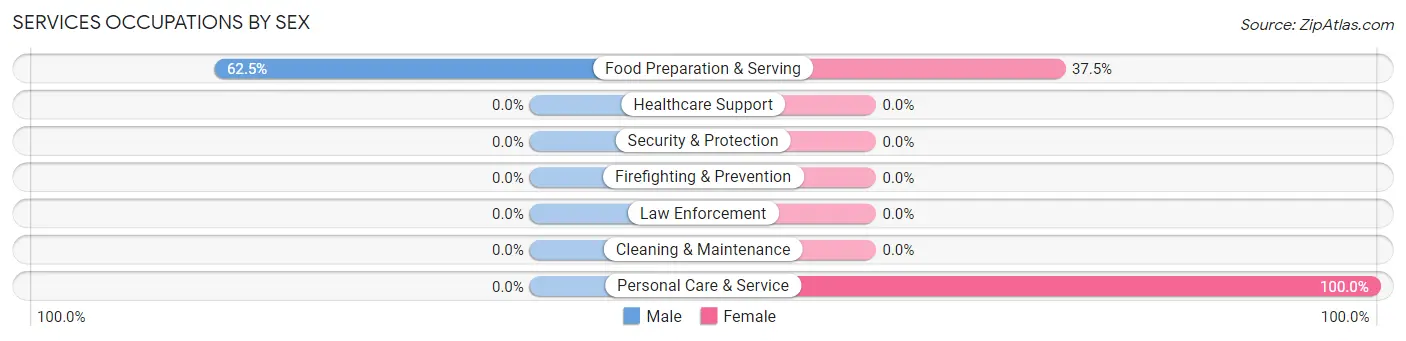 Services Occupations by Sex in Zip Code 56325