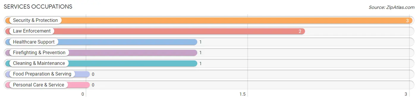 Services Occupations in Zip Code 56328