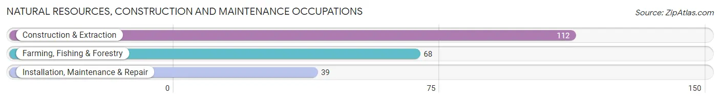 Natural Resources, Construction and Maintenance Occupations in Zip Code 56331