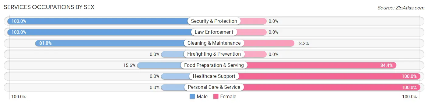 Services Occupations by Sex in Zip Code 56332