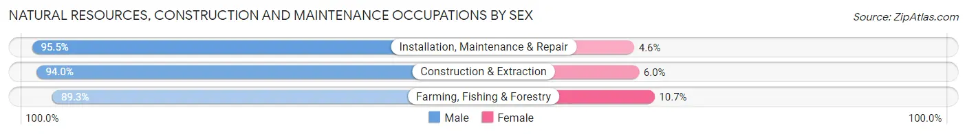 Natural Resources, Construction and Maintenance Occupations by Sex in Zip Code 56334