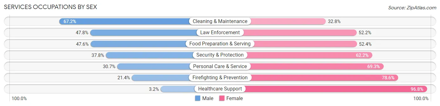 Services Occupations by Sex in Zip Code 56334