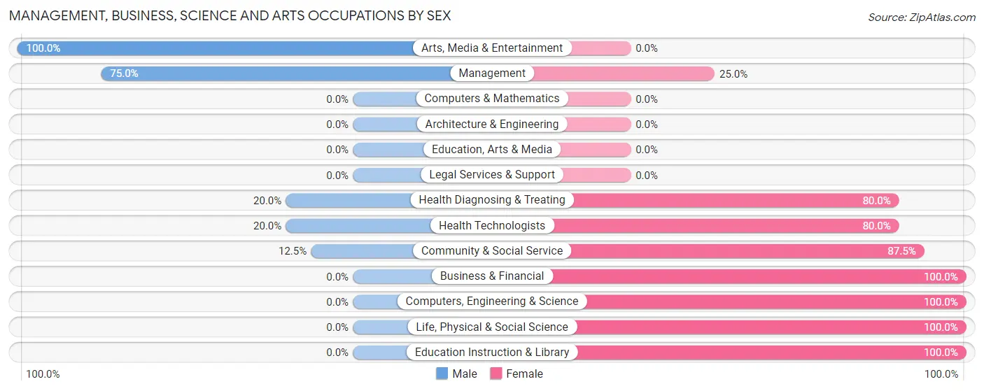 Management, Business, Science and Arts Occupations by Sex in Zip Code 56335