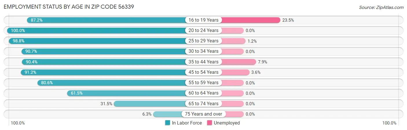 Employment Status by Age in Zip Code 56339