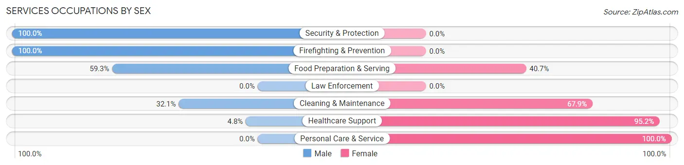 Services Occupations by Sex in Zip Code 56340