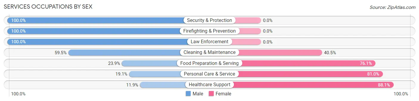 Services Occupations by Sex in Zip Code 56345