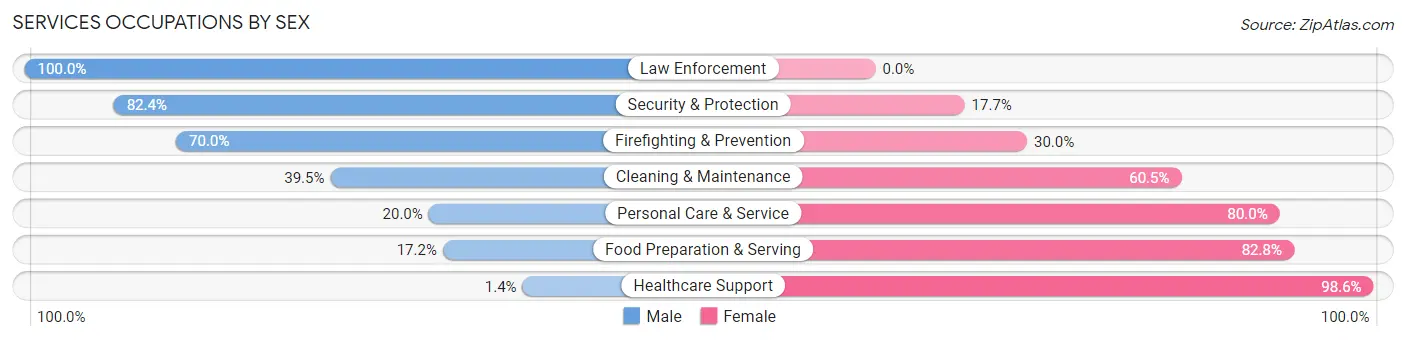 Services Occupations by Sex in Zip Code 56347