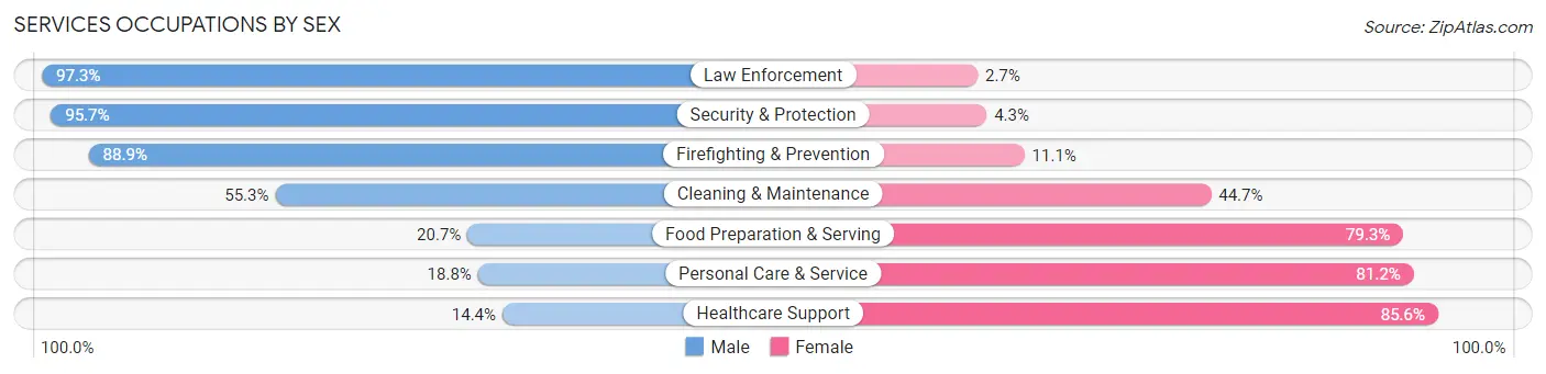 Services Occupations by Sex in Zip Code 56353