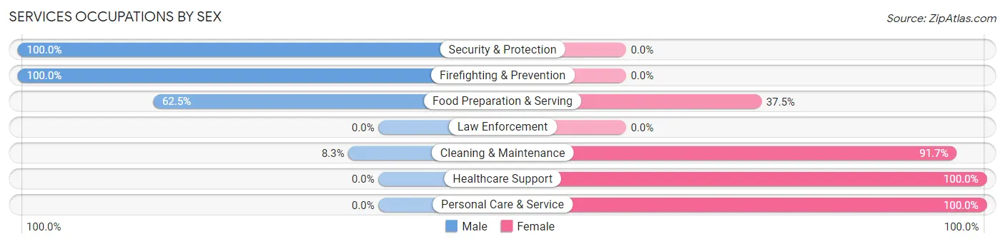 Services Occupations by Sex in Zip Code 56355
