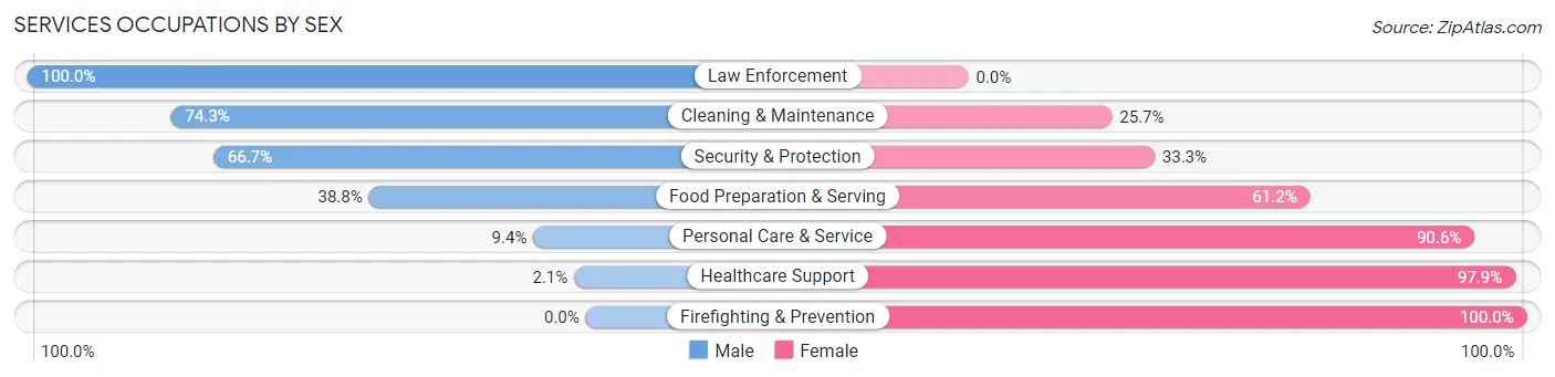 Services Occupations by Sex in Zip Code 56360