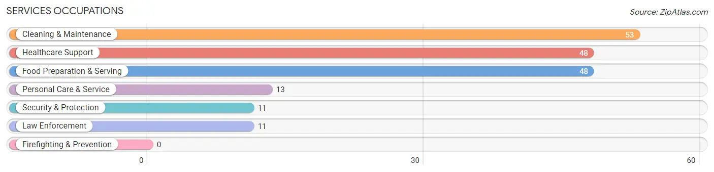 Services Occupations in Zip Code 56361